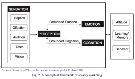 Conceptual-framework-of-sensory-marketing-krishna-2012.png